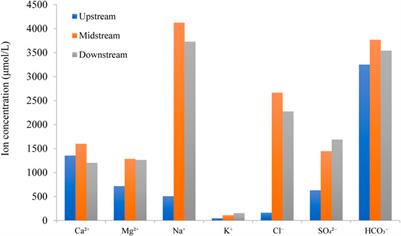 Seasonal Variations of Chemical Weathering and CO2 Consumption Processes in the Headwater (Datong River Basin) of the Yellow River Draining the Tibetan Plateau